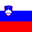 Slovenian